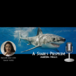 CX Live with Marianna Poletti: La customer experience passa per l’employee experience curando l’employee engagement